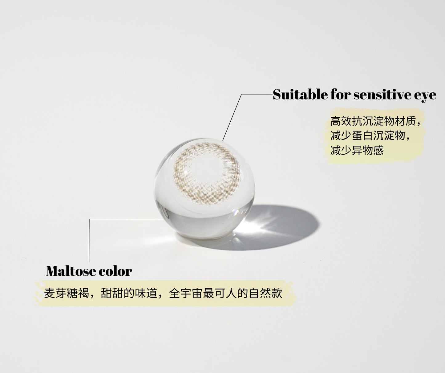 Eyeball model with maltose color label on a white background, the contact lens which suitable to wear on sensitive eyes