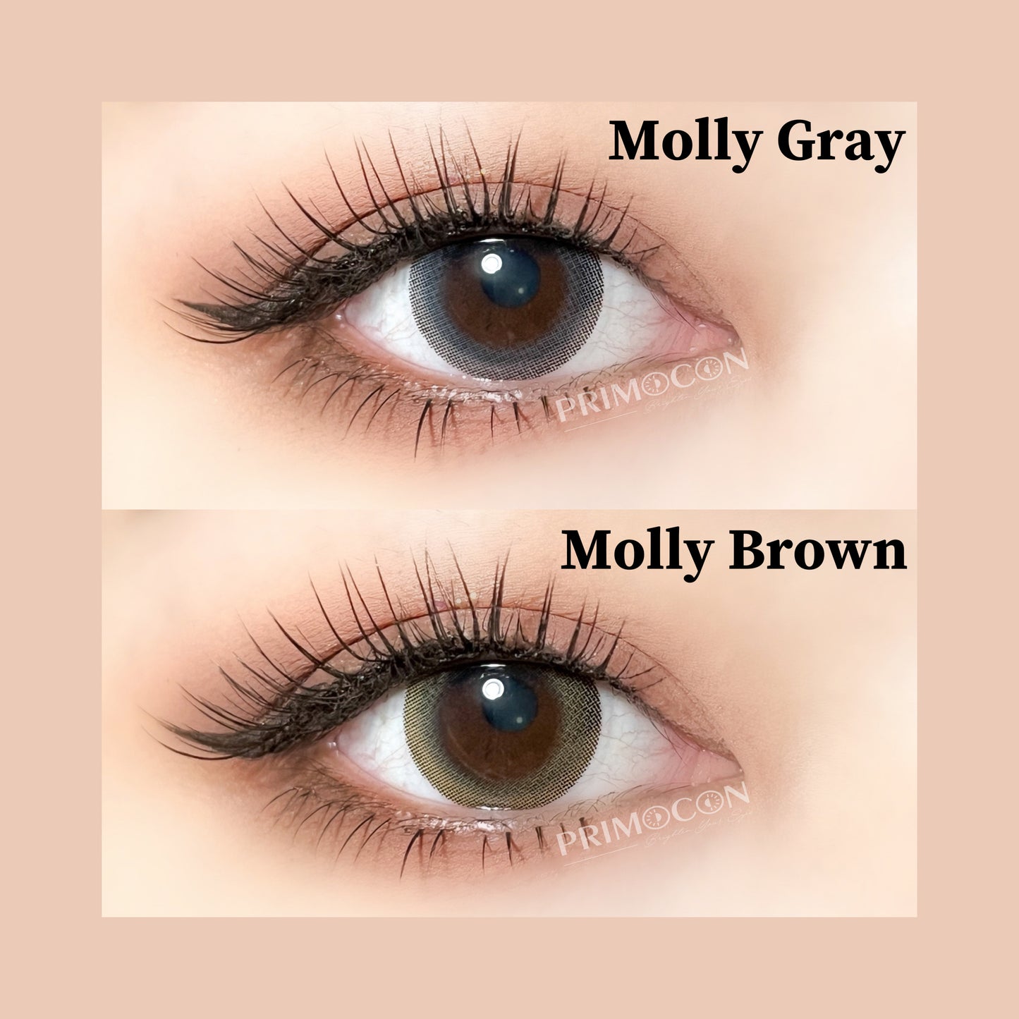 Molly Gray - Primocon