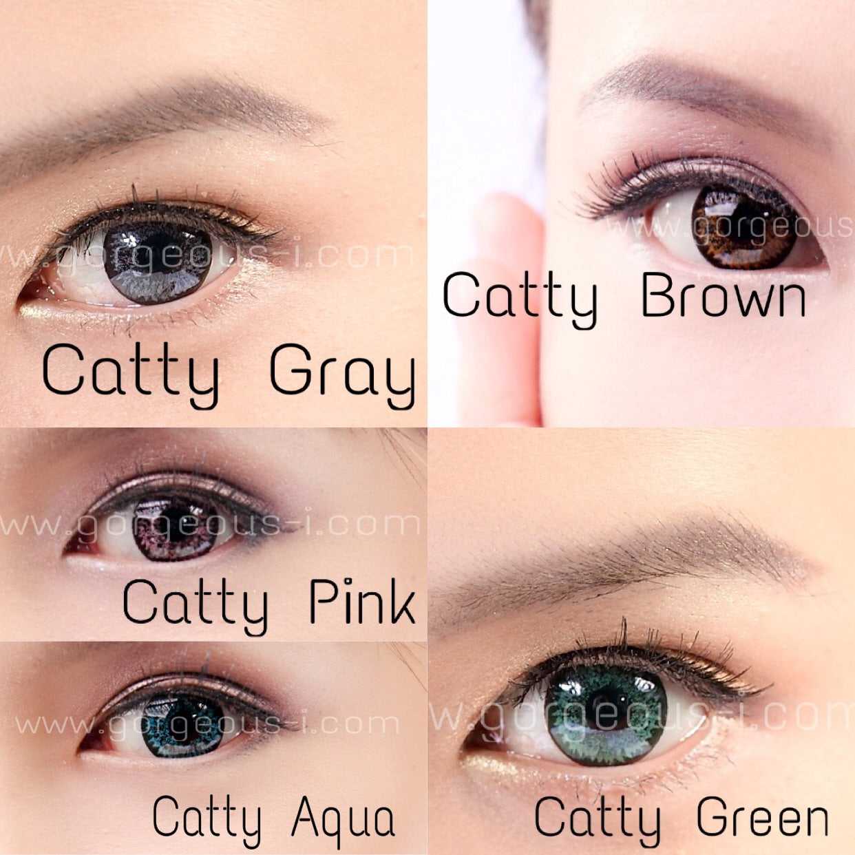 Catty Aqua - Primocon