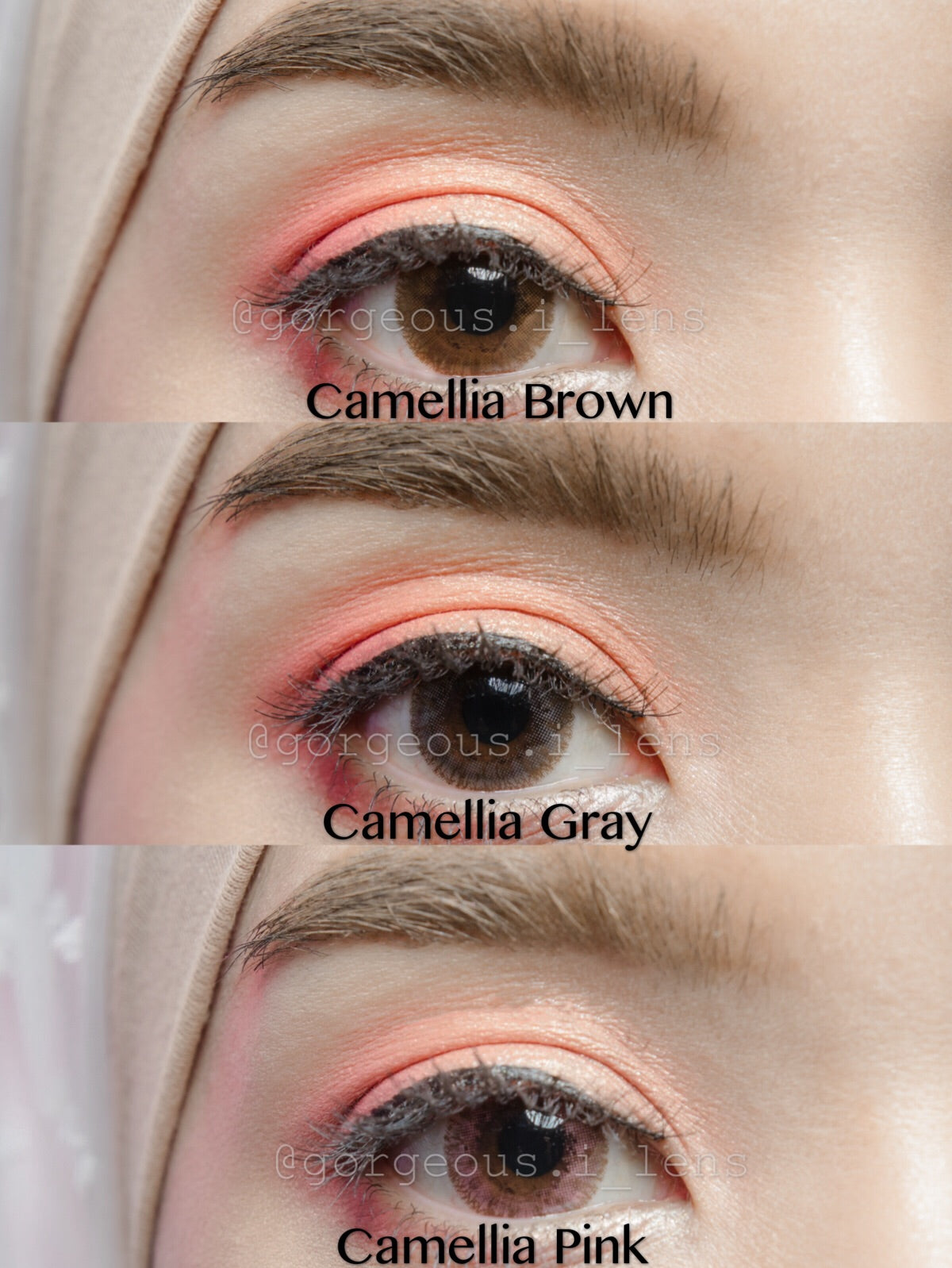 Camellia Brown - Primocon
