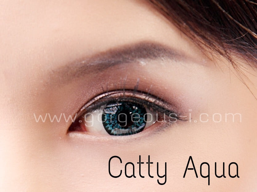 Catty Aqua - Primocon