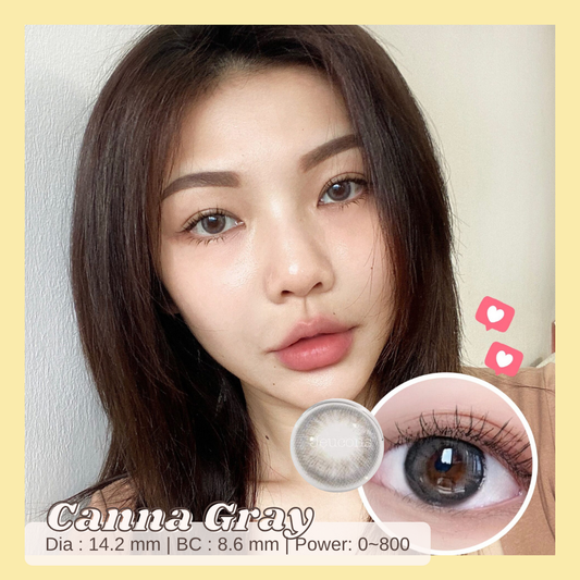 Canna Gray - Primocon