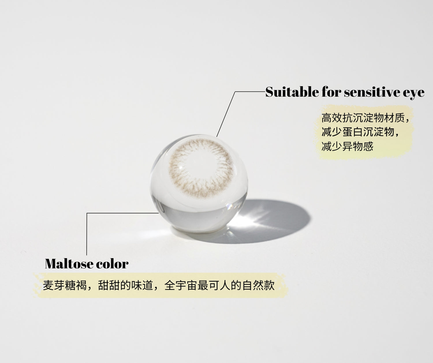 Eyeball model with maltose color label on a white background, the contact lens which suitable to wear on sensitive eyes