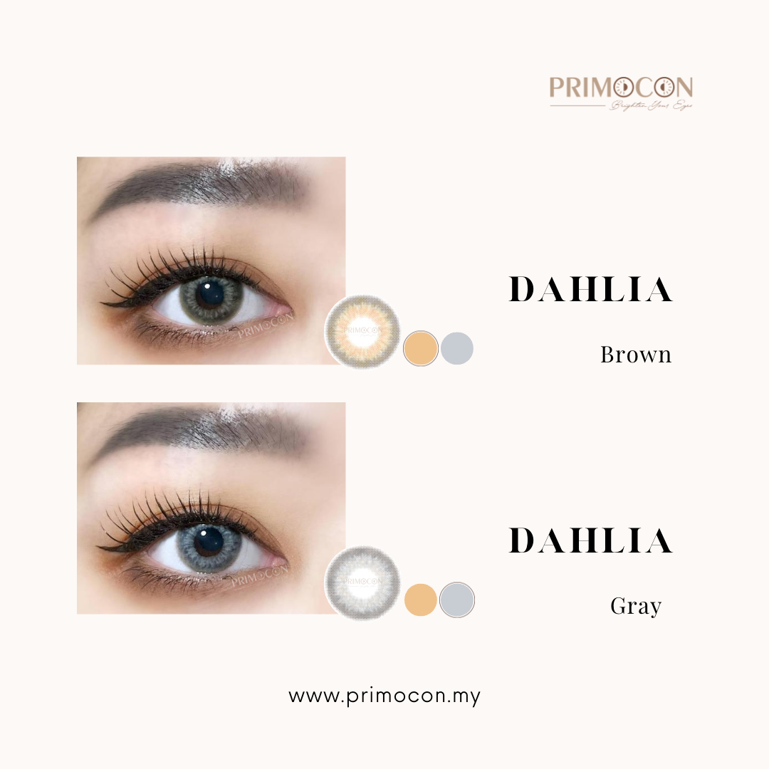 Dahlia Brown - Primocon