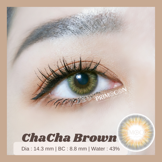 ChaCha Brown - Primocon