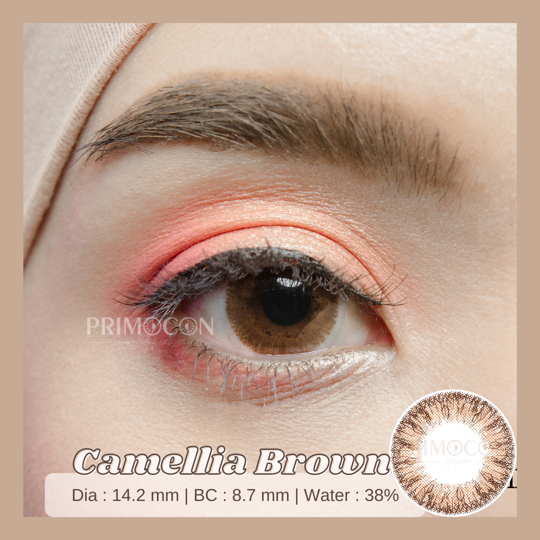 Camellia Brown - Primocon