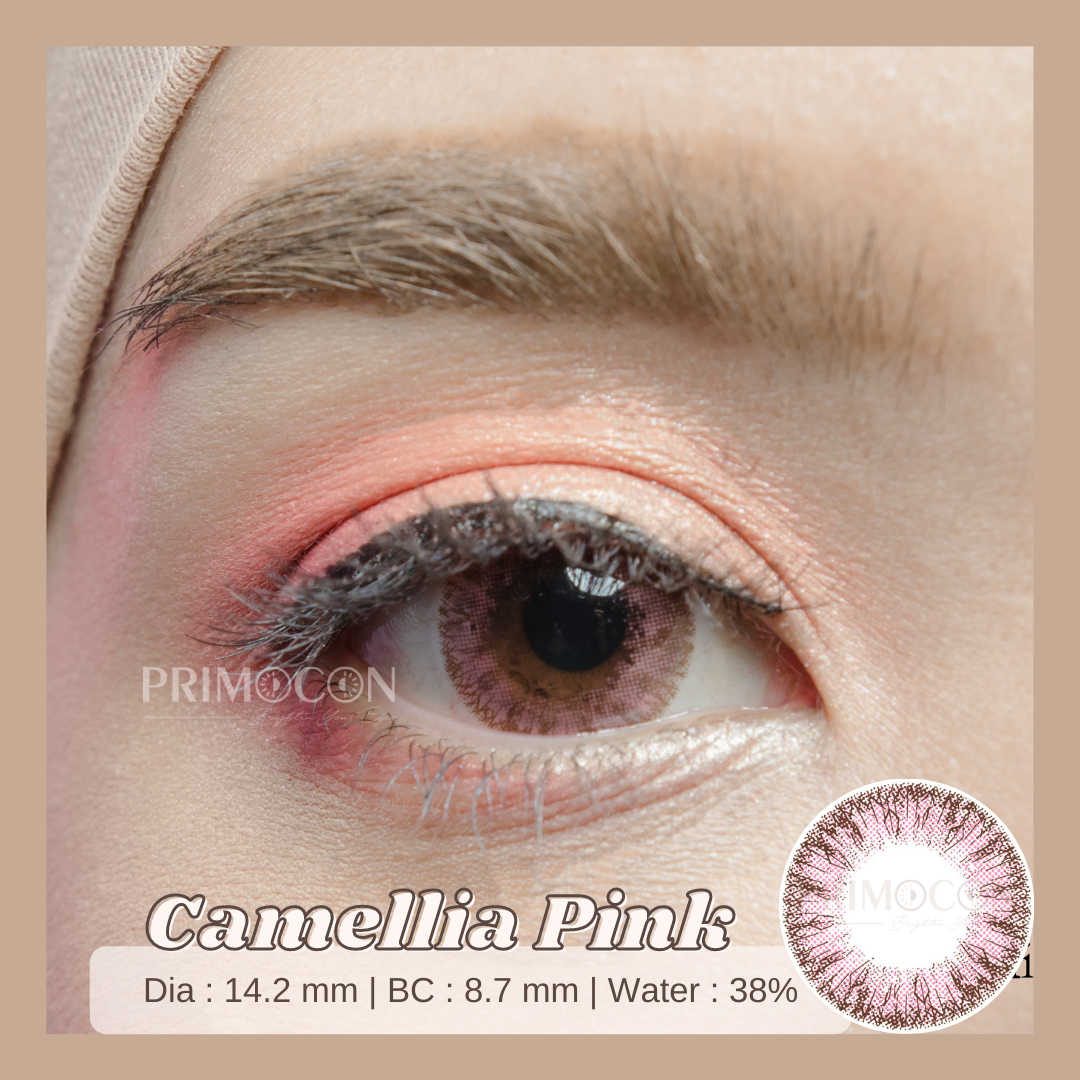 Camellia Pink - Primocon