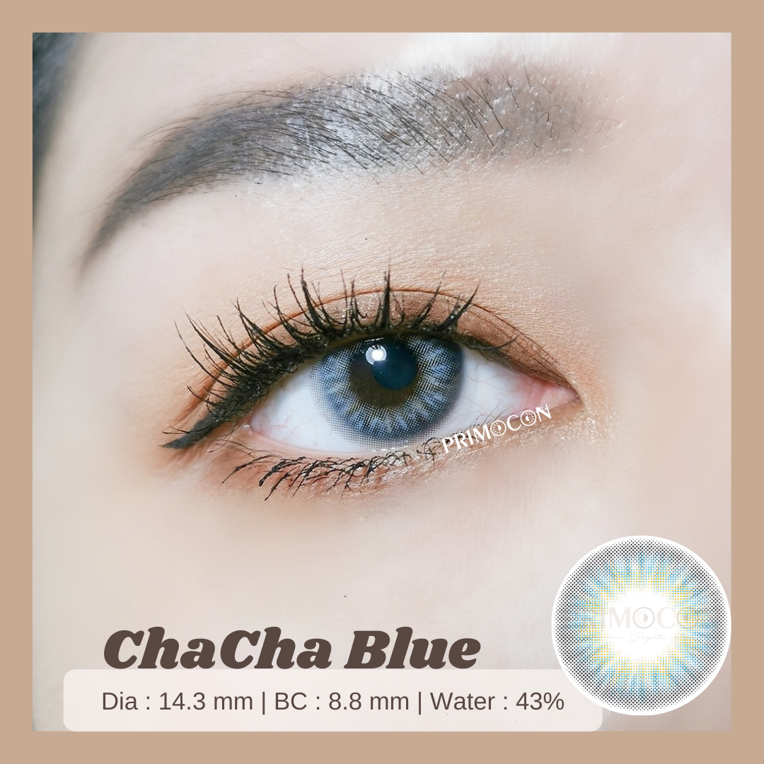 ChaCha Blue - Primocon