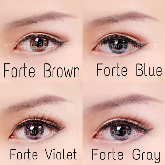 Forte Gray - Primocon