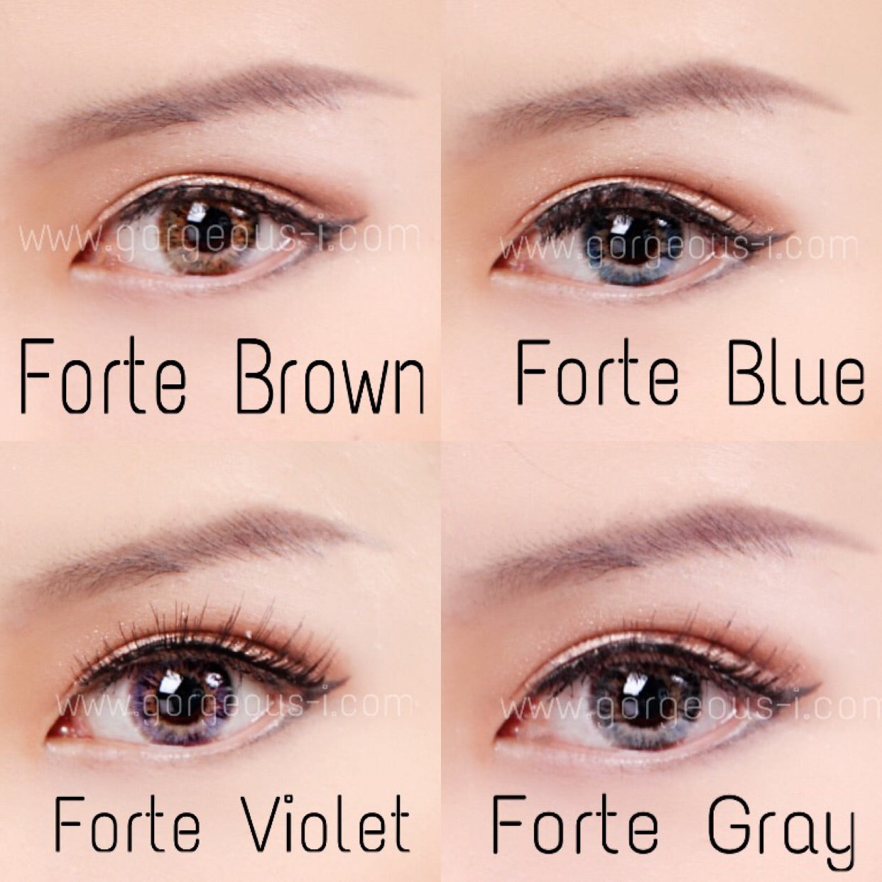 Forte Brown - Primocon