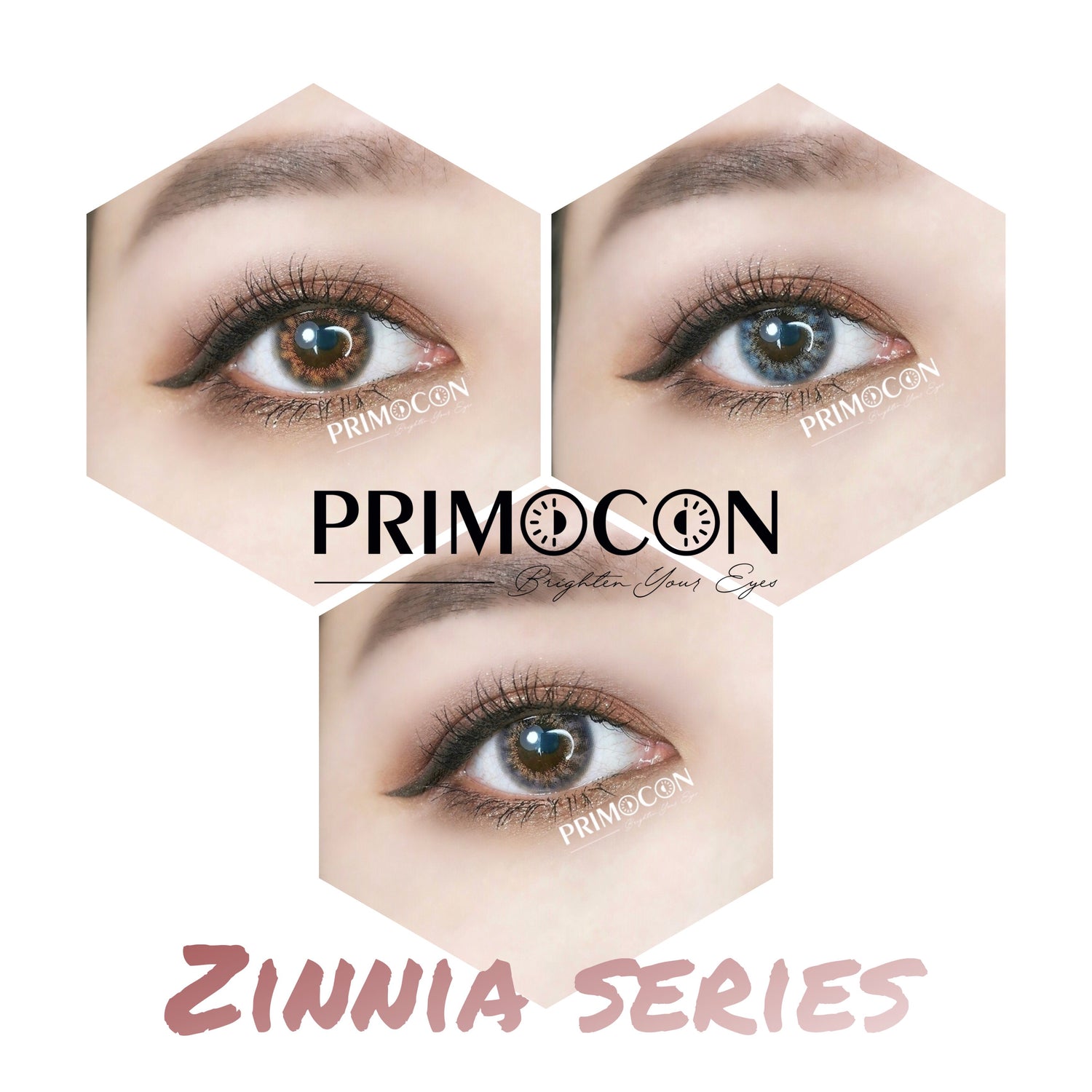 Zinnia Brown - Primocon